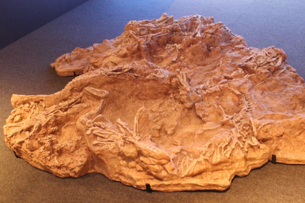 f:id:steinsue:20160913222705j:plain f:id:steinsue:20160913222705j:plain