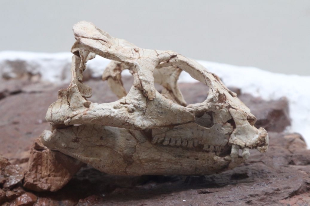 f:id:steinsue:20160913222713j:plain f:id:steinsue:20160913222713j:plain