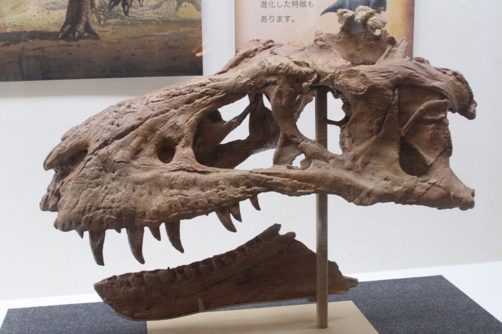 f:id:steinsue:20160913222720j:plain f:id:steinsue:20160913222720j:plain