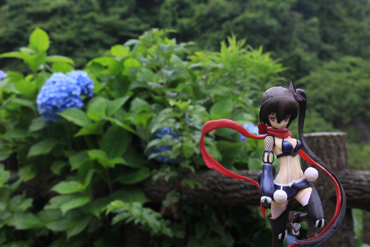 f:id:steinsue:20191021213410j:plain f:id:steinsue:20191021213410j:plain