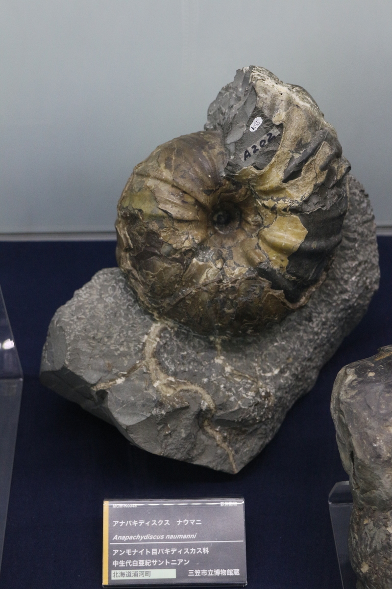 f:id:steinsue:20191025205015j:plain f:id:steinsue:20191025205015j:plain