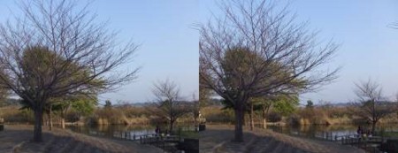 f:id:steleto:20091110013850j:image