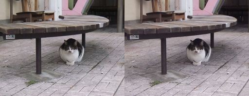 f:id:steleto:20100112014806j:image f:id:steleto:20100112014806j:image