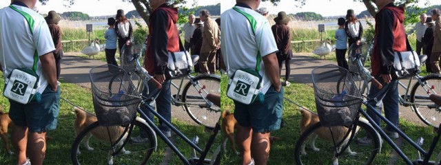 f:id:steleto:20100517011615j:image f:id:steleto:20100517011615j:image