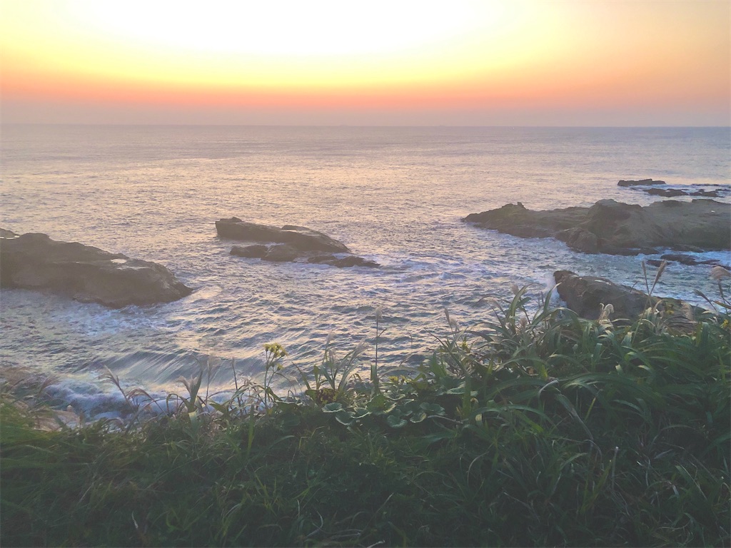 f:id:stella369:20201117204525j:image f:id:stella369:20201117204525j:image