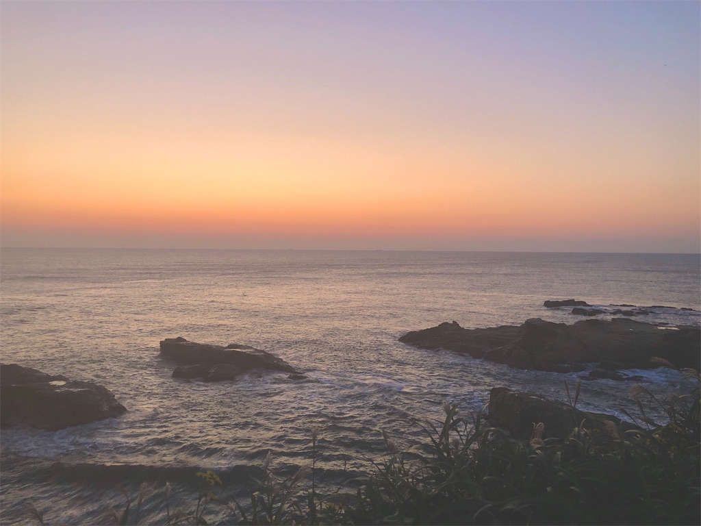 f:id:stella369:20201117204533j:image f:id:stella369:20201117204533j:image
