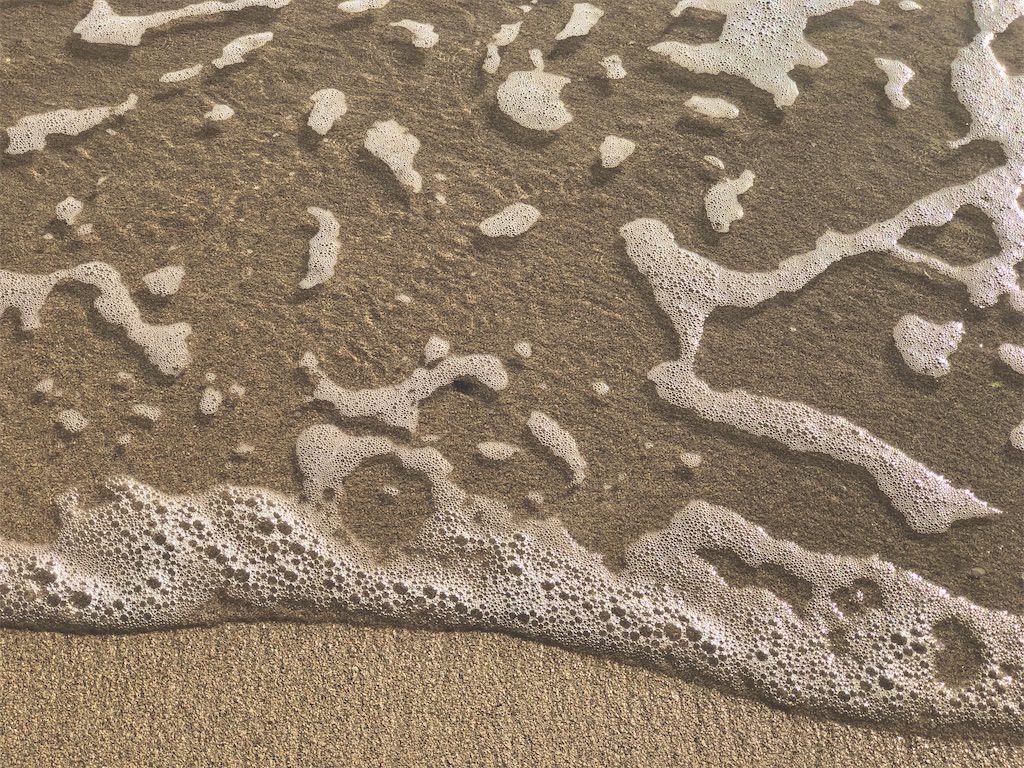 f:id:stella369:20201117205607j:image f:id:stella369:20201117205607j:image