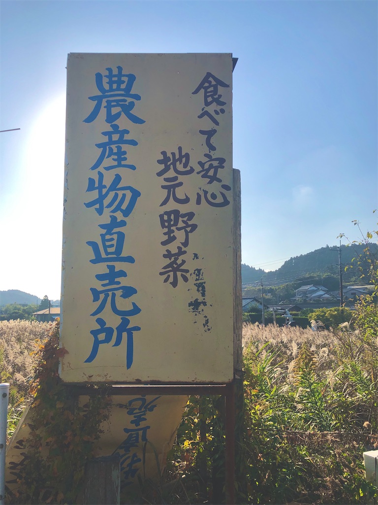 f:id:stella369:20201117205613j:image f:id:stella369:20201117205613j:image