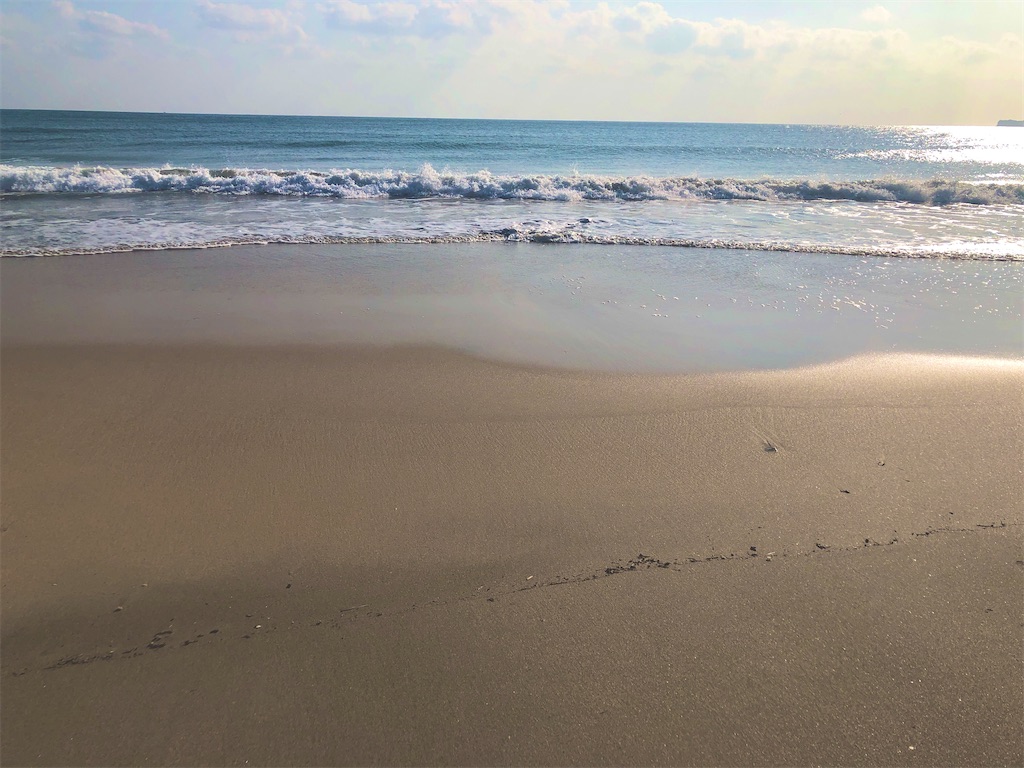 f:id:stella369:20201117205632j:image f:id:stella369:20201117205632j:image