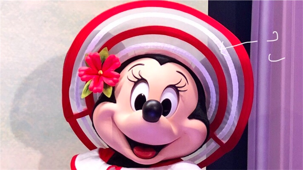 f:id:stella369:20210619172948j:image f:id:stella369:20210619172948j:image