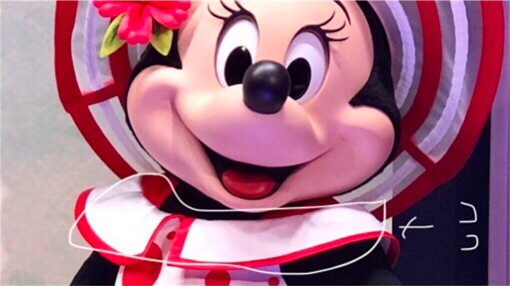 f:id:stella369:20210619173024j:image f:id:stella369:20210619173024j:image