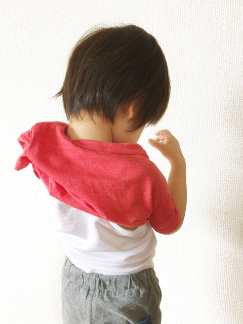 f:id:stellakid01:20200522124229j:plain f:id:stellakid01:20200522124229j:plain