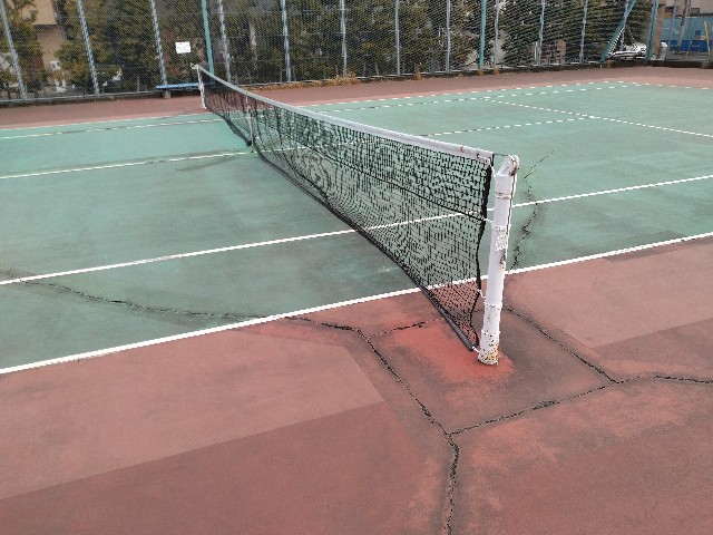 f:id:stelliter:20250302085516j:image