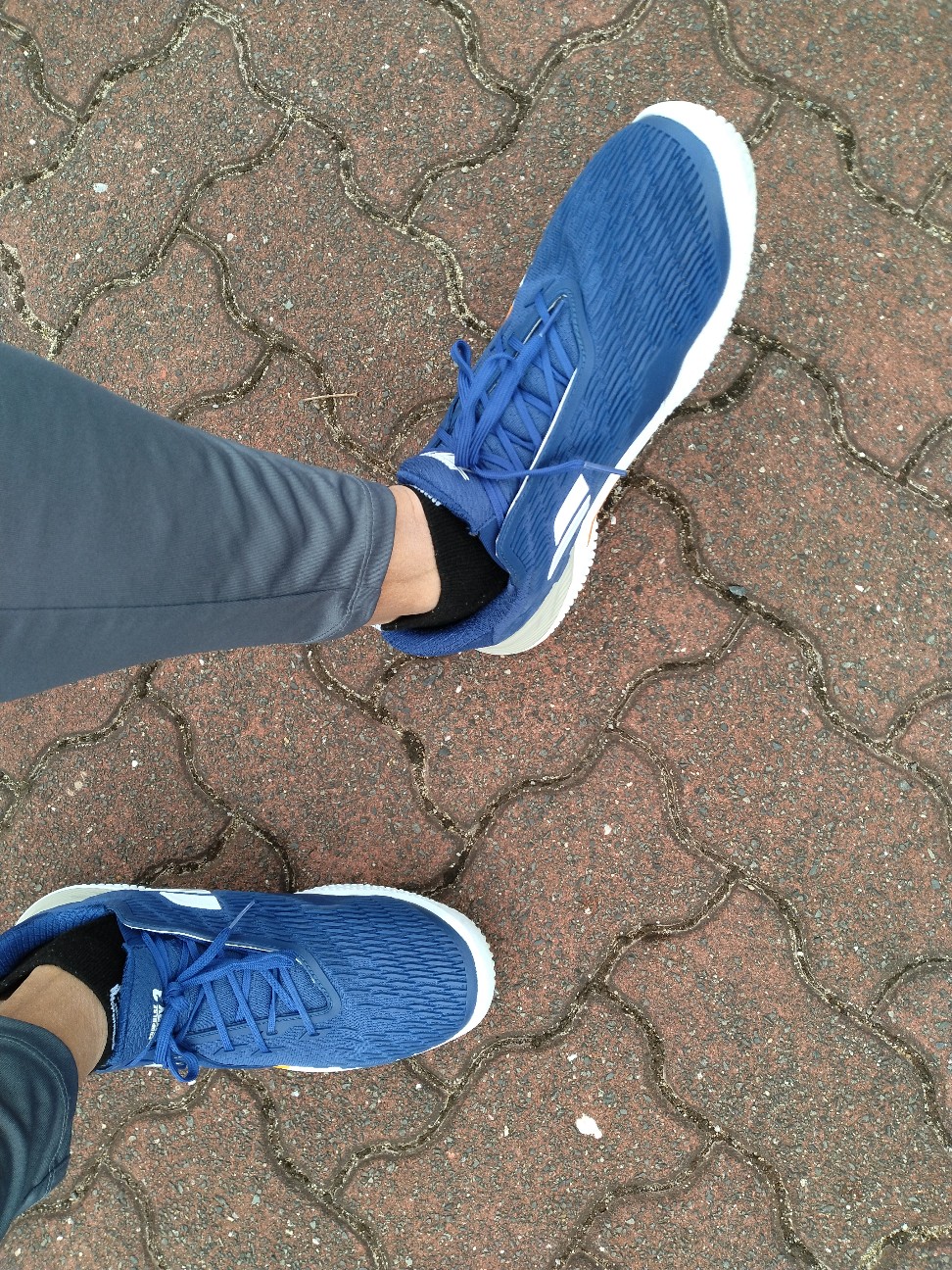 f:id:stelliter:20251123201219j:image f:id:stelliter:20251123201219j:image