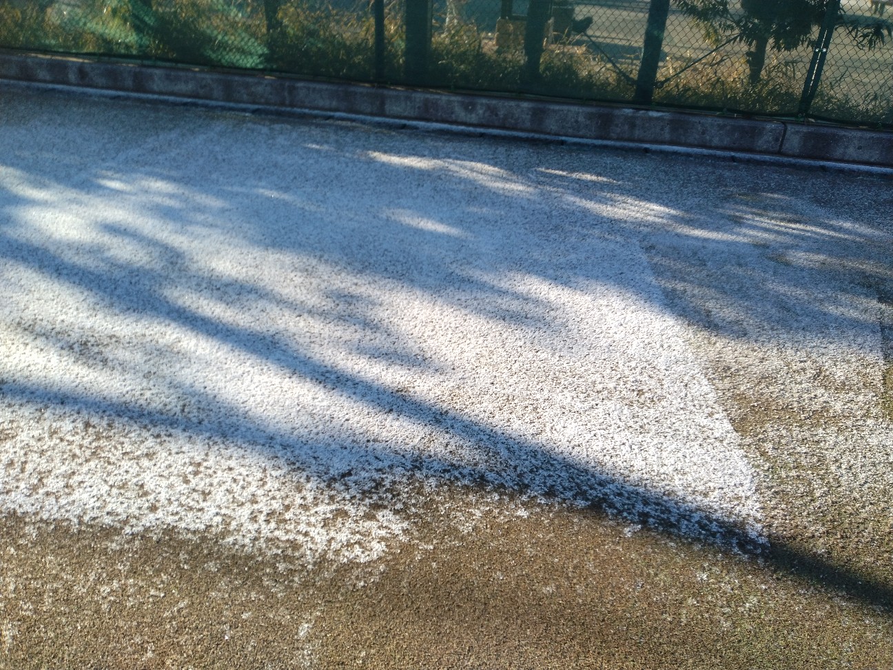 f:id:stelliter:20260122100027j:image