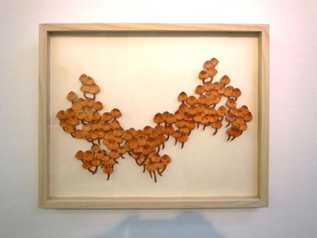 f:id:stemgallery:20100813110228j:image f:id:stemgallery:20100813110228j:image