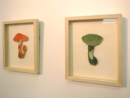 f:id:stemgallery:20100813110555j:image f:id:stemgallery:20100813110555j:image