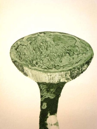 f:id:stemgallery:20100813110637j:image f:id:stemgallery:20100813110637j:image
