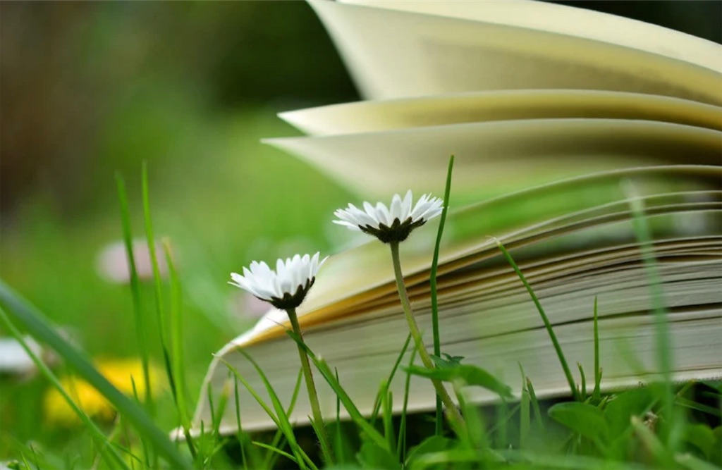 f:id:stepbystepftm:20221201104200j:image