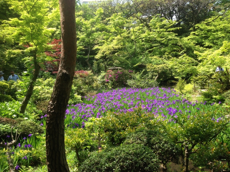 f:id:stephanetanguero:20150506223332j:plain