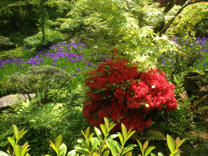 f:id:stephanetanguero:20150506231345j:plain