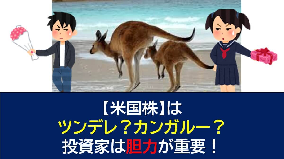 米国株 はツンデレ カンガルー 投資家は胆力が重要 もみあげ の米国株投資 お金で幸せになる