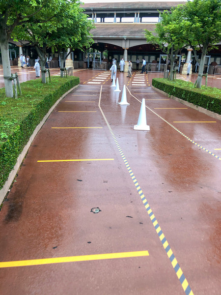 営業再開したディズニーシーでアトラクション天国を満喫してきた 東京デートシティ