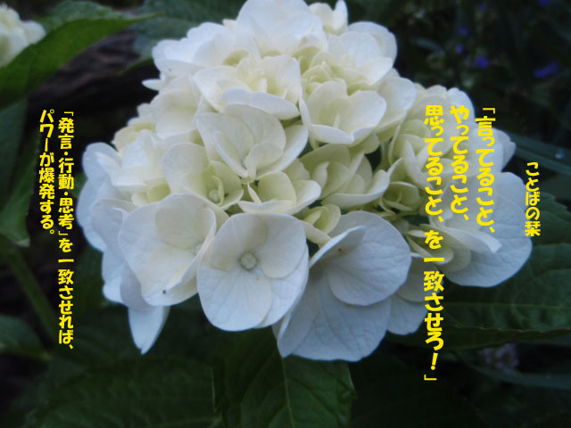 f:id:stepup8:20190710115101j:plain f:id:stepup8:20190710115101j:plain
