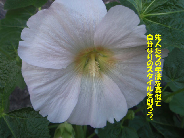 f:id:stepup8:20190713113848j:plain f:id:stepup8:20190713113848j:plain