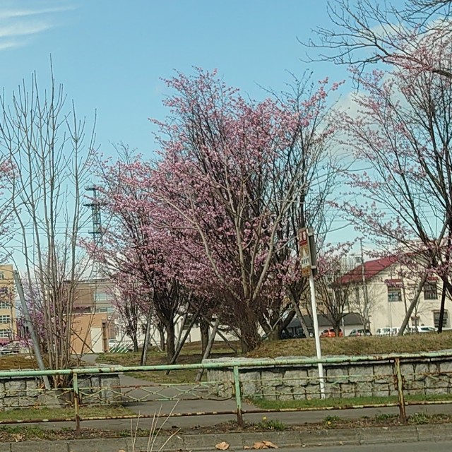f:id:stepxstep:20220423212202j:image