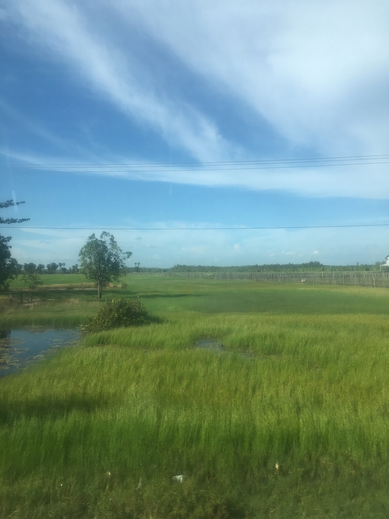 f:id:stereomanN:20190225015005j:plain f:id:stereomanN:20190225015005j:plain