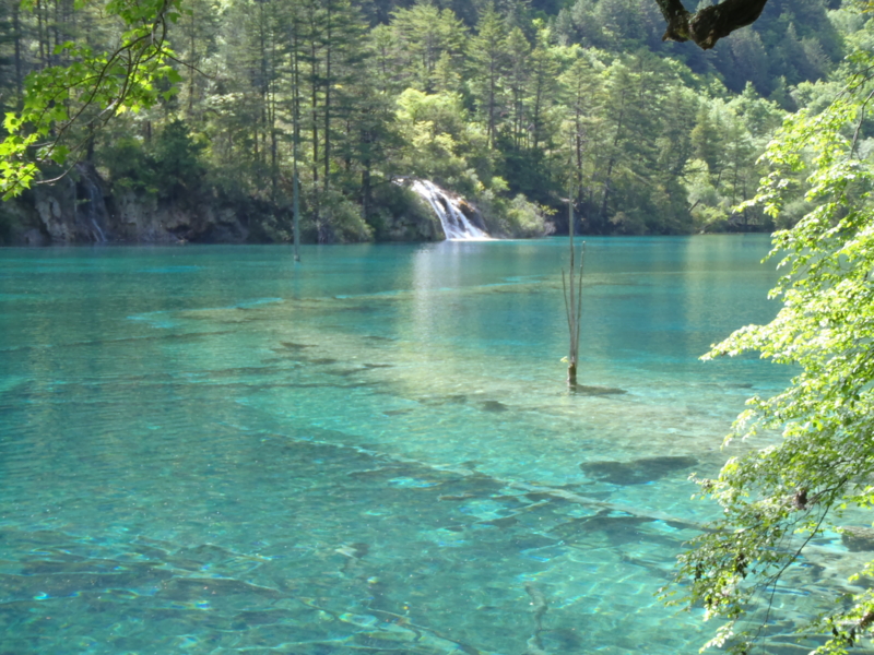f:id:stertwist:20110522143952j:image
