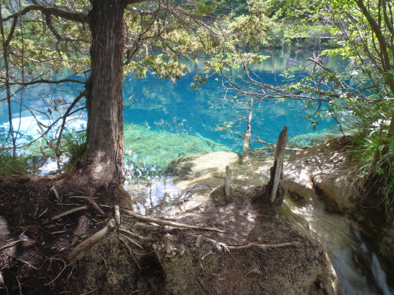 f:id:stertwist:20110522144525j:image
