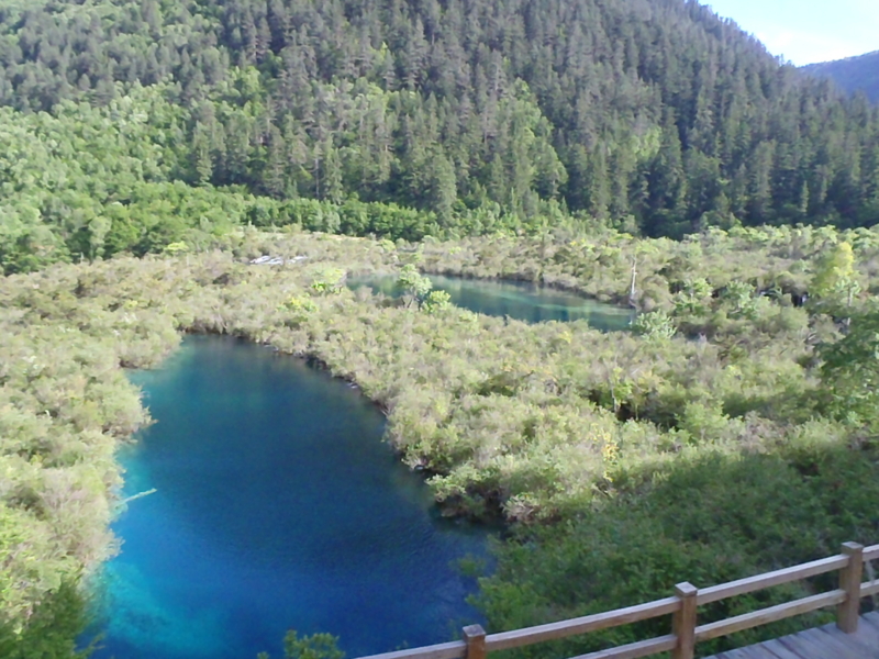 f:id:stertwist:20110522162713j:image