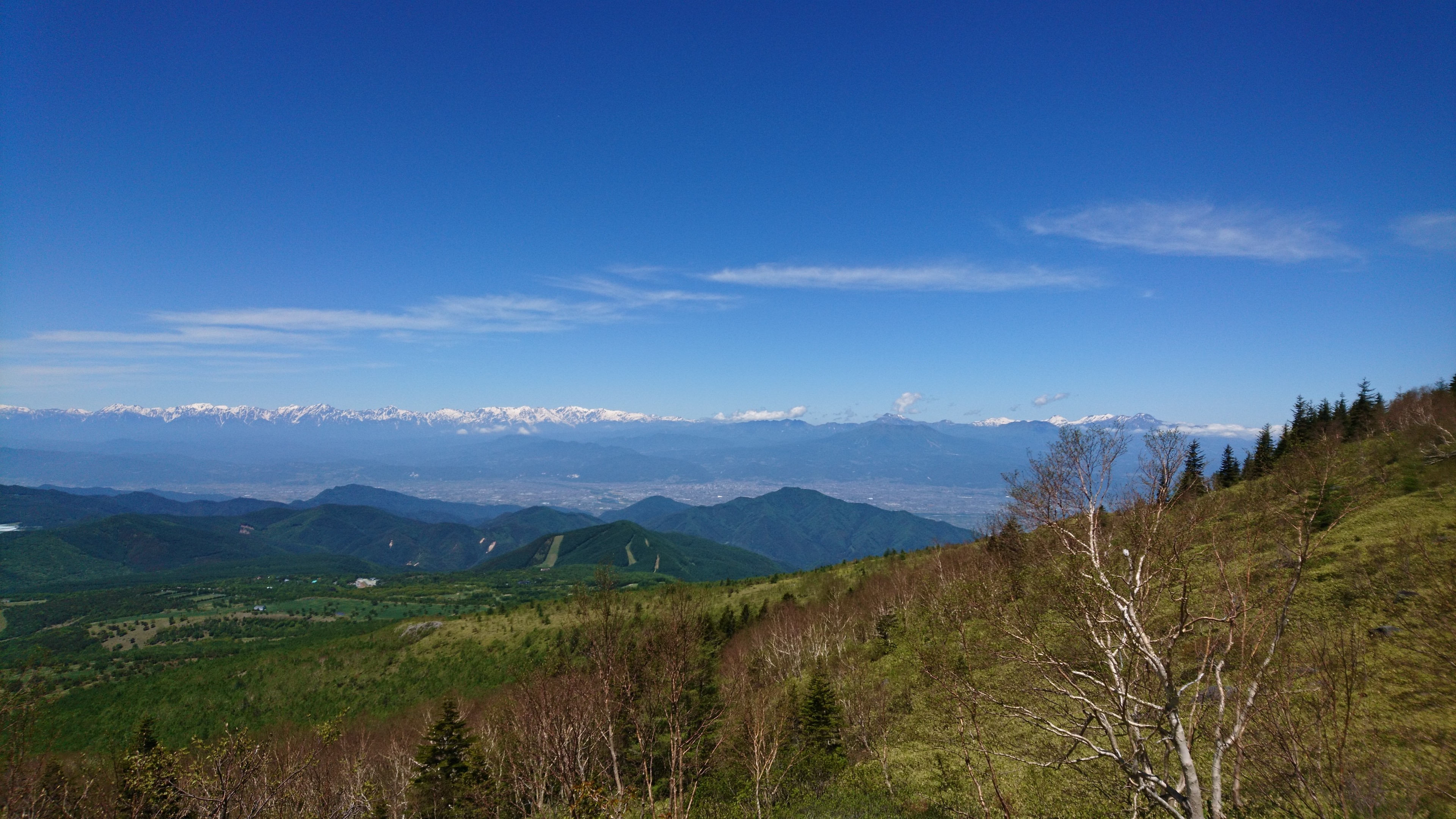 f:id:stevefigo:20181226225248j:image f:id:stevefigo:20181226225248j:image