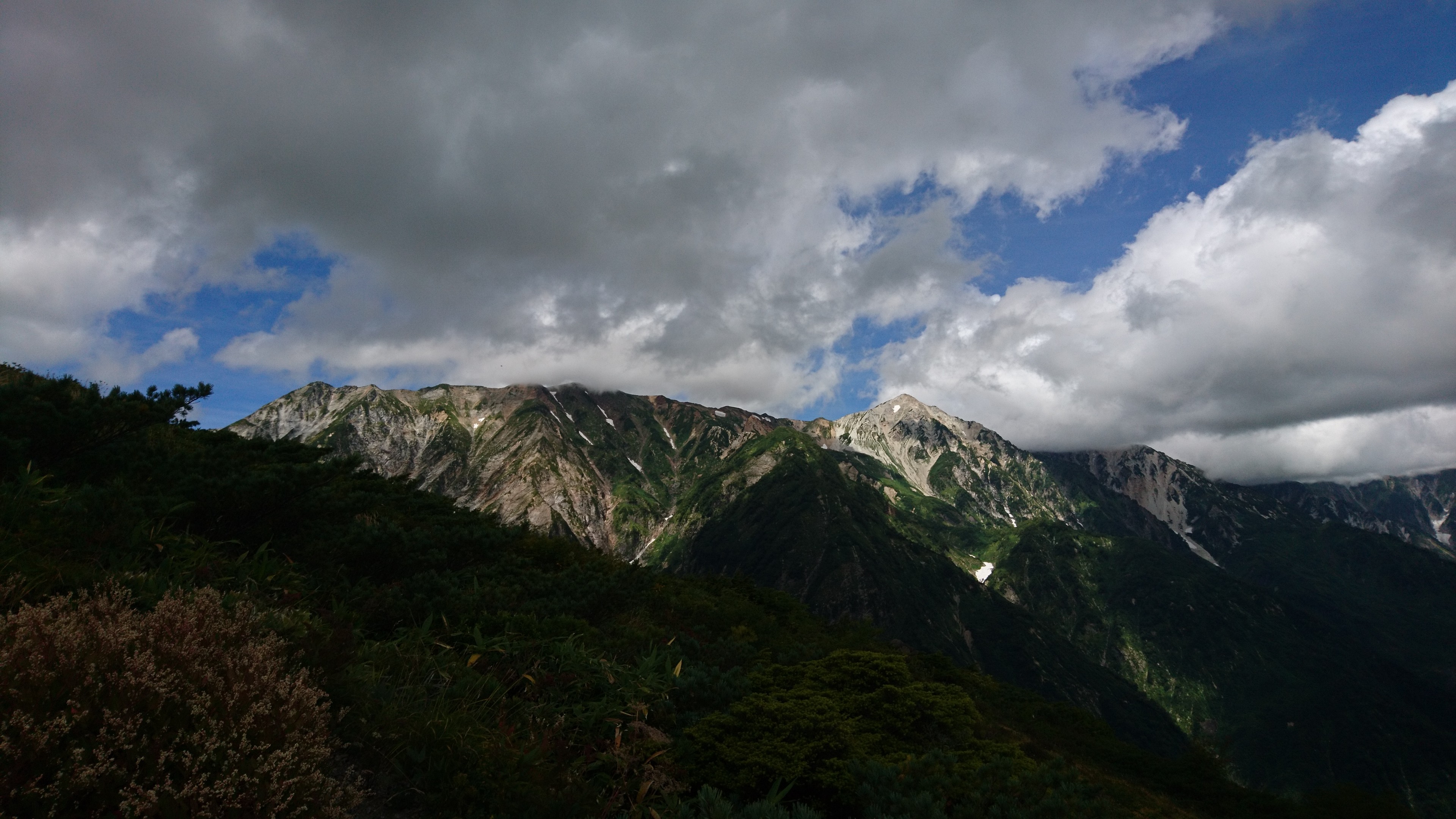 f:id:stevefigo:20190102181312j:image f:id:stevefigo:20190102181312j:image