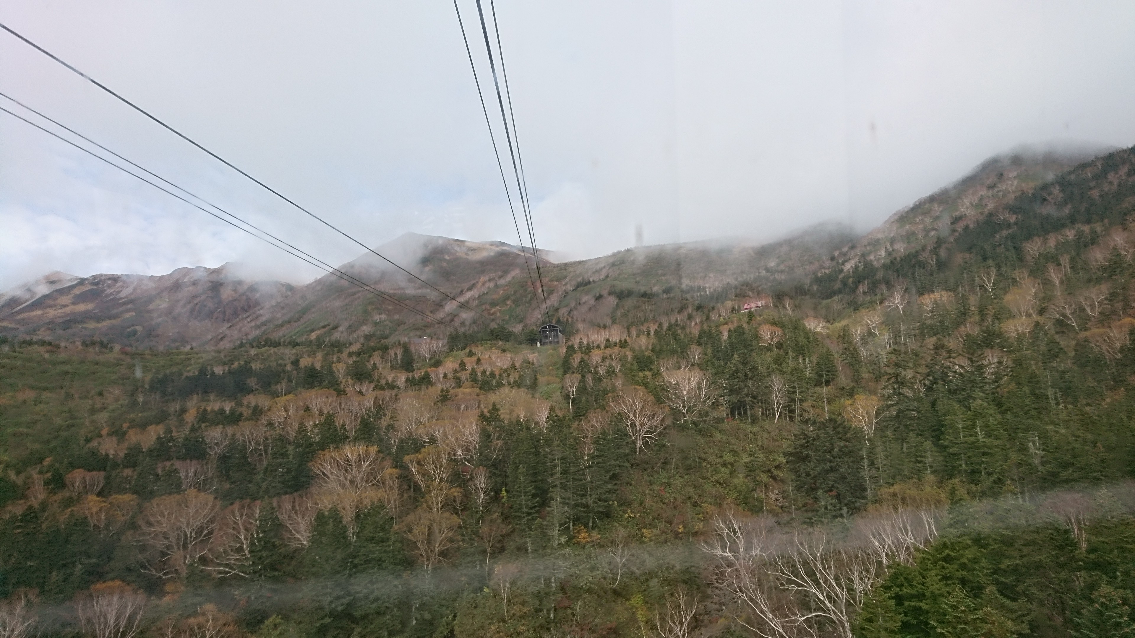 f:id:stevefigo:20190107233342j:image f:id:stevefigo:20190107233342j:image