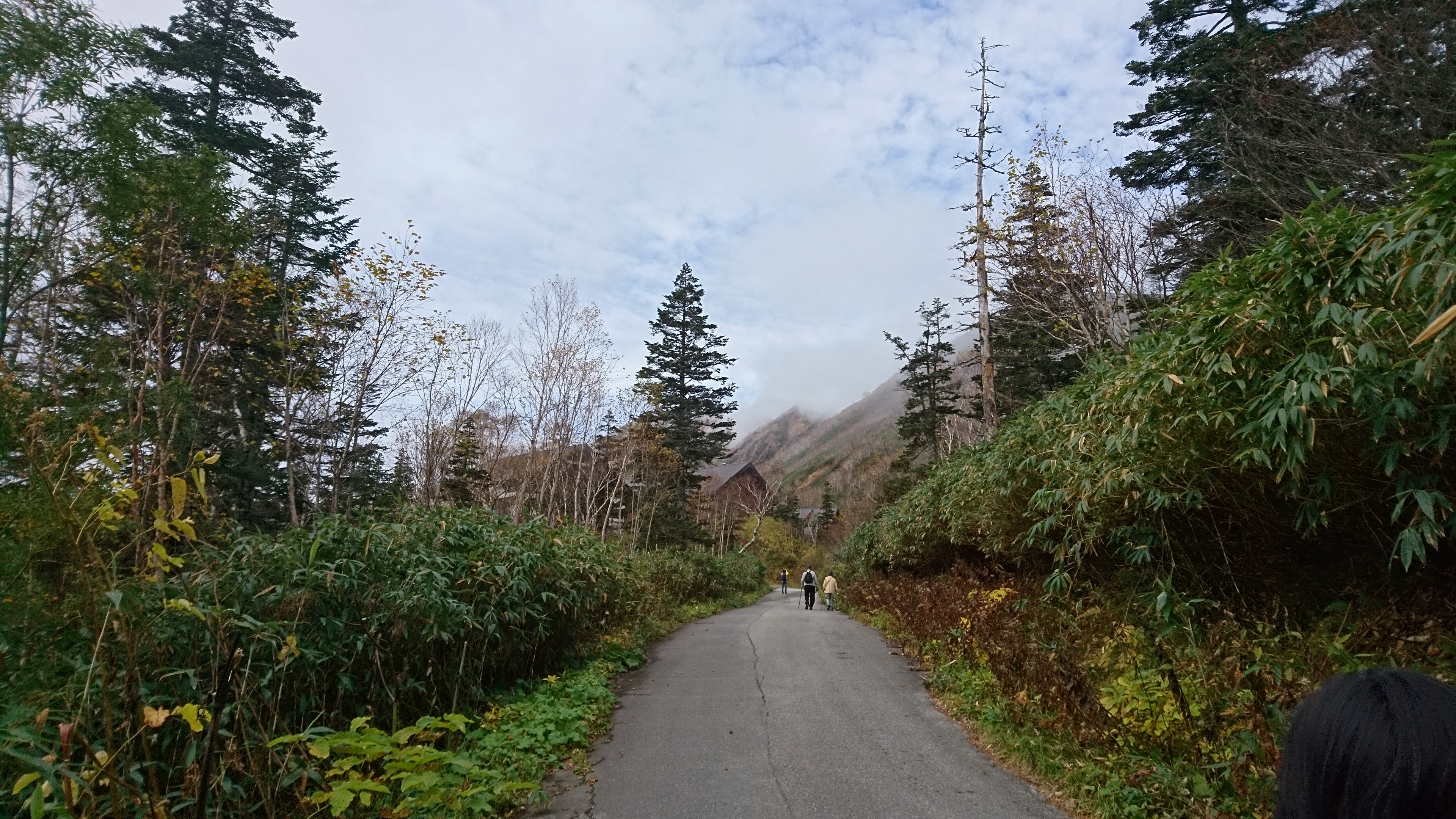 f:id:stevefigo:20190107233714j:image f:id:stevefigo:20190107233714j:image
