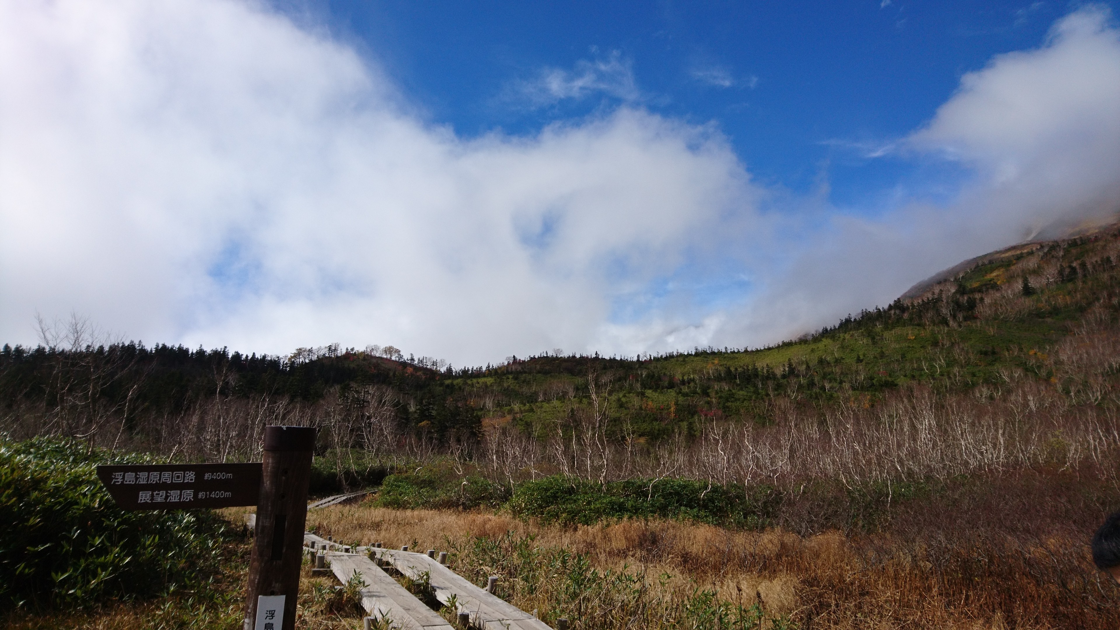 f:id:stevefigo:20190107234326j:image f:id:stevefigo:20190107234326j:image
