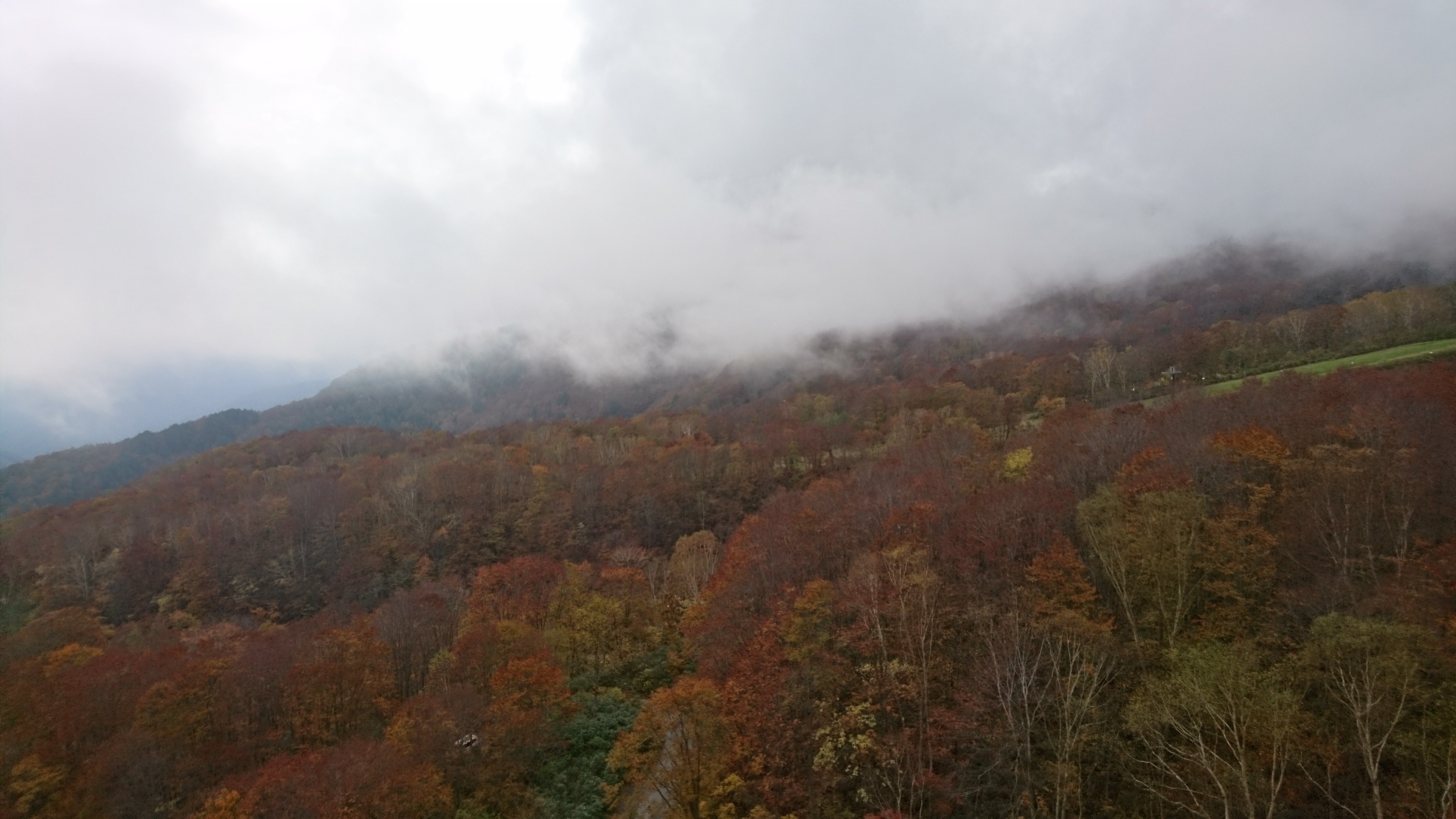 f:id:stevefigo:20190107234808j:image f:id:stevefigo:20190107234808j:image