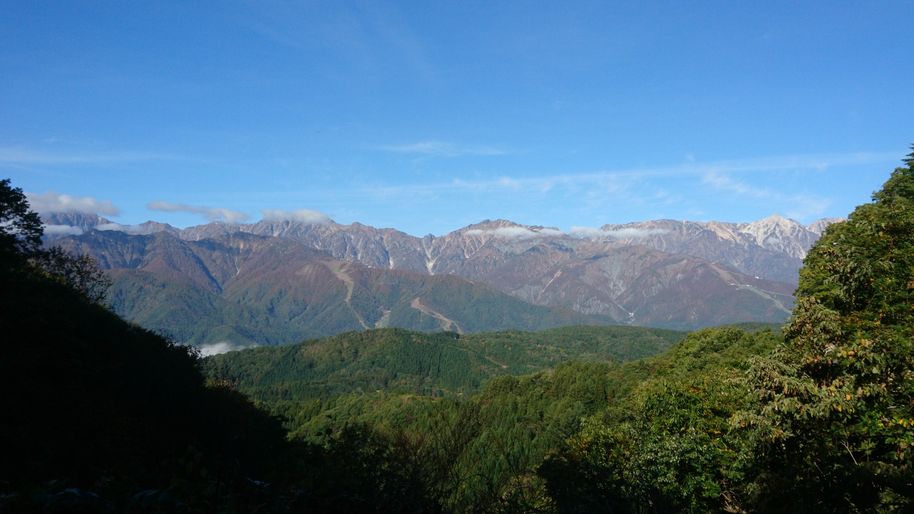 f:id:stevefigo:20190107235134j:image f:id:stevefigo:20190107235134j:image
