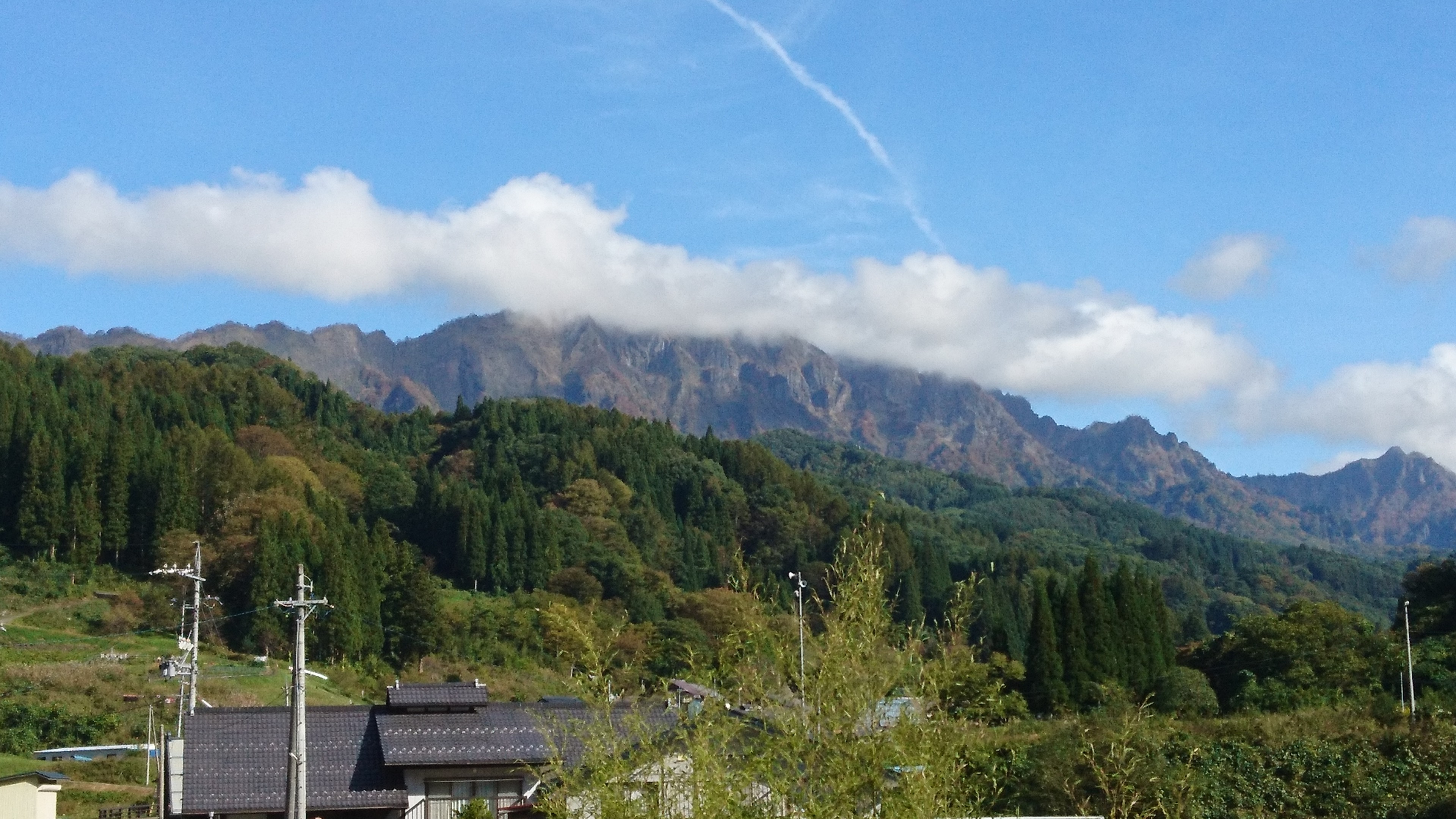 f:id:stevefigo:20190107235241j:image f:id:stevefigo:20190107235241j:image