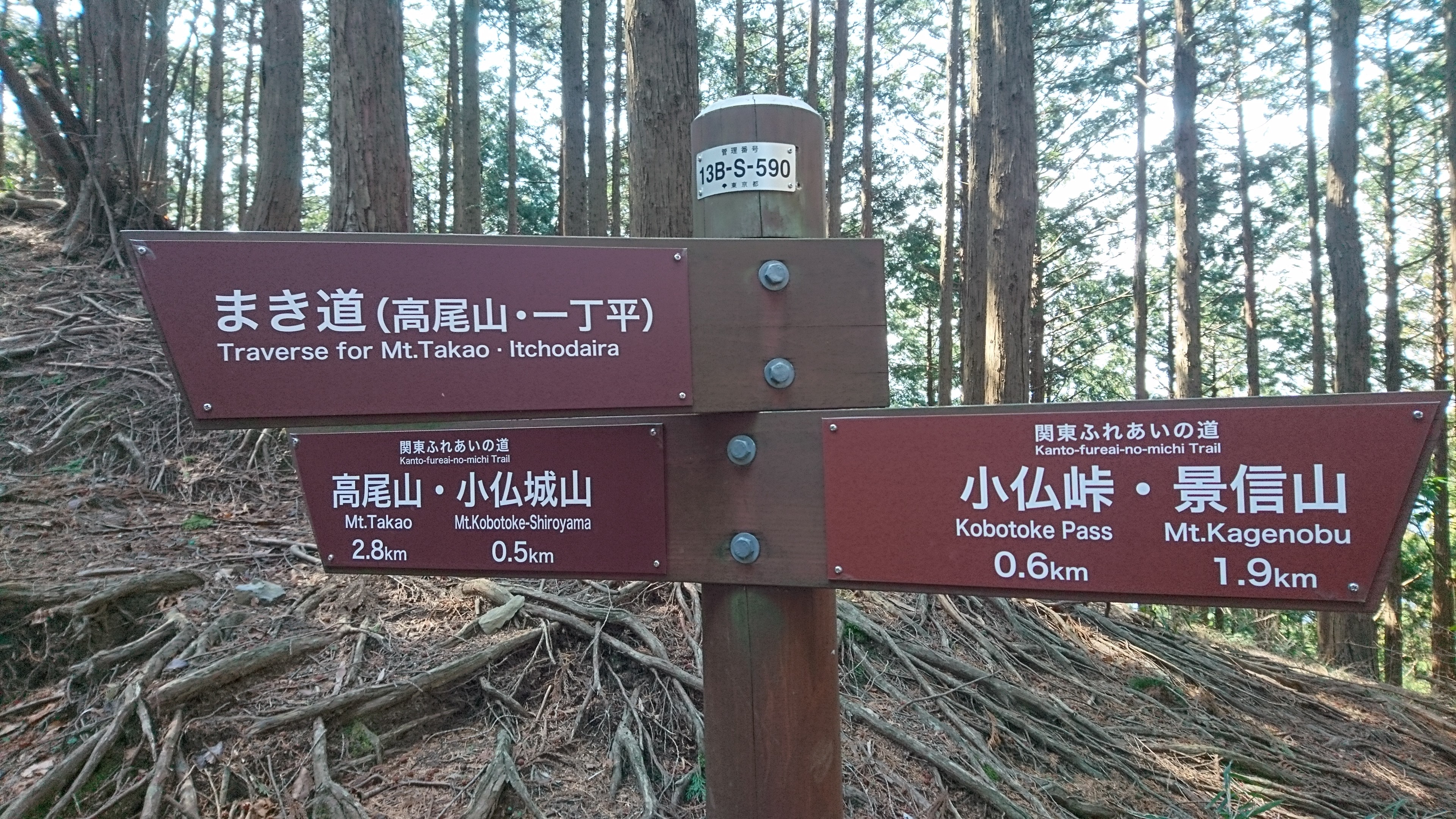 f:id:stevefigo:20190323160321j:image f:id:stevefigo:20190323160321j:image