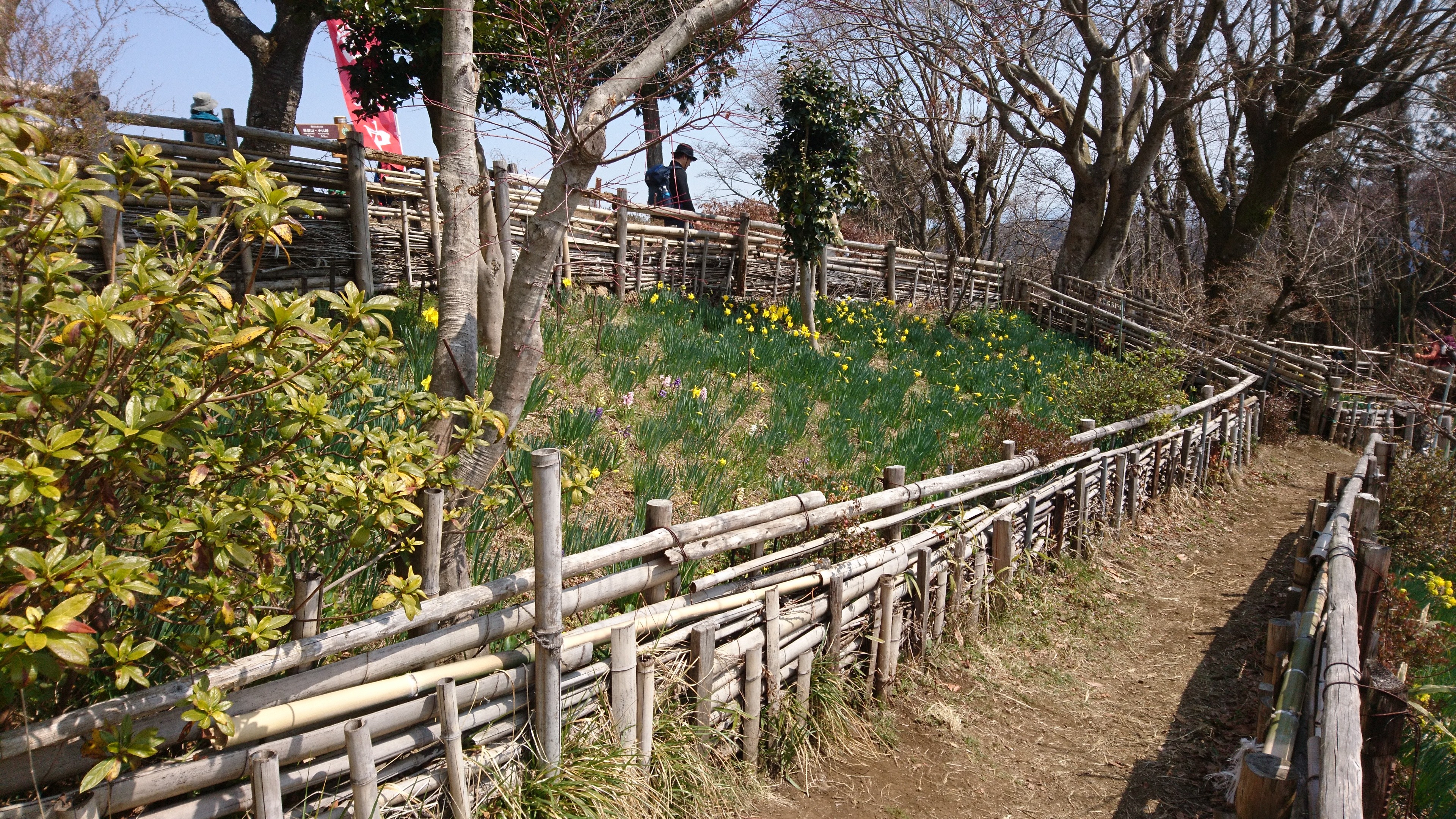 f:id:stevefigo:20190323161547j:image f:id:stevefigo:20190323161547j:image