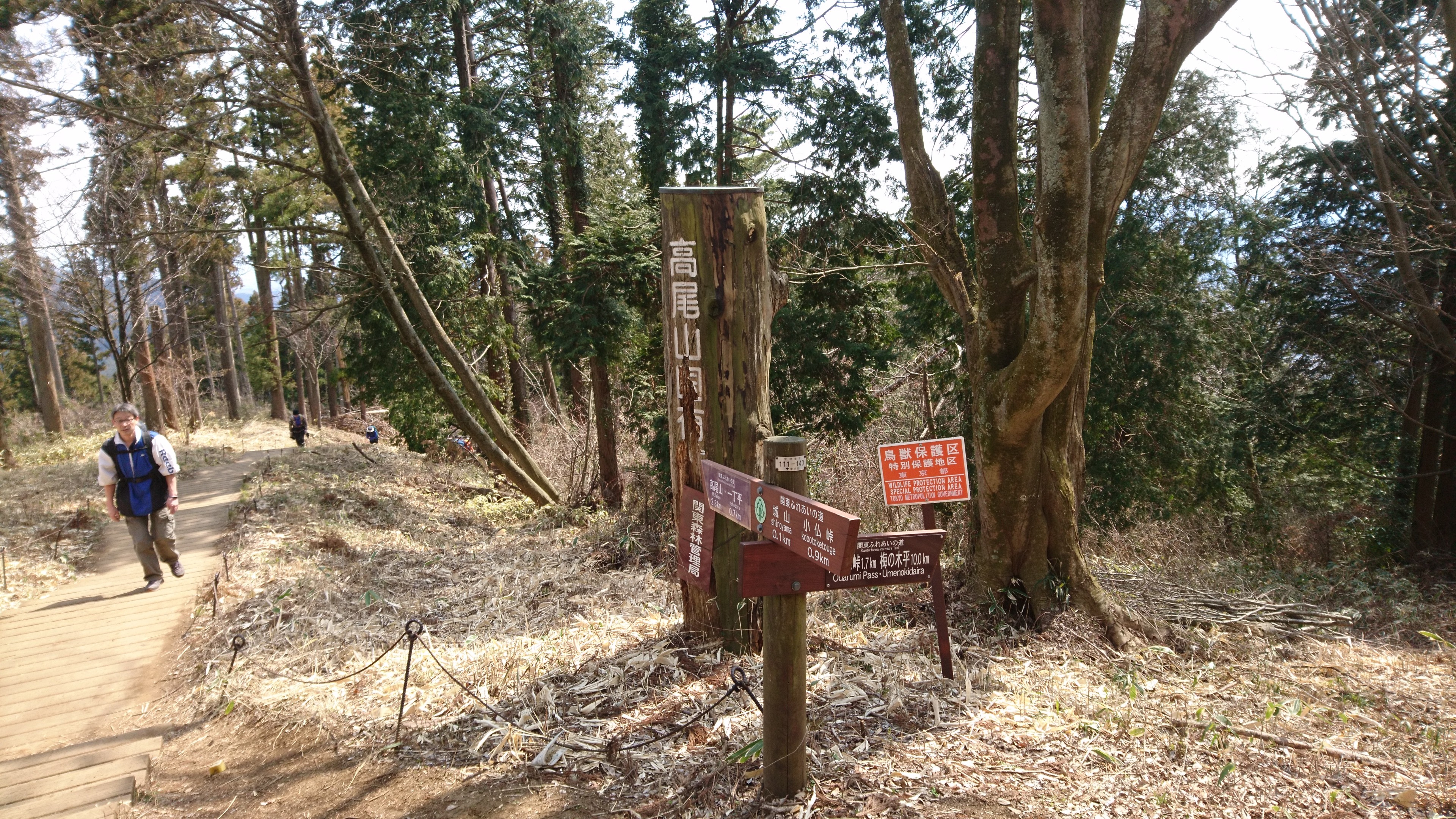 f:id:stevefigo:20190323161925j:image f:id:stevefigo:20190323161925j:image