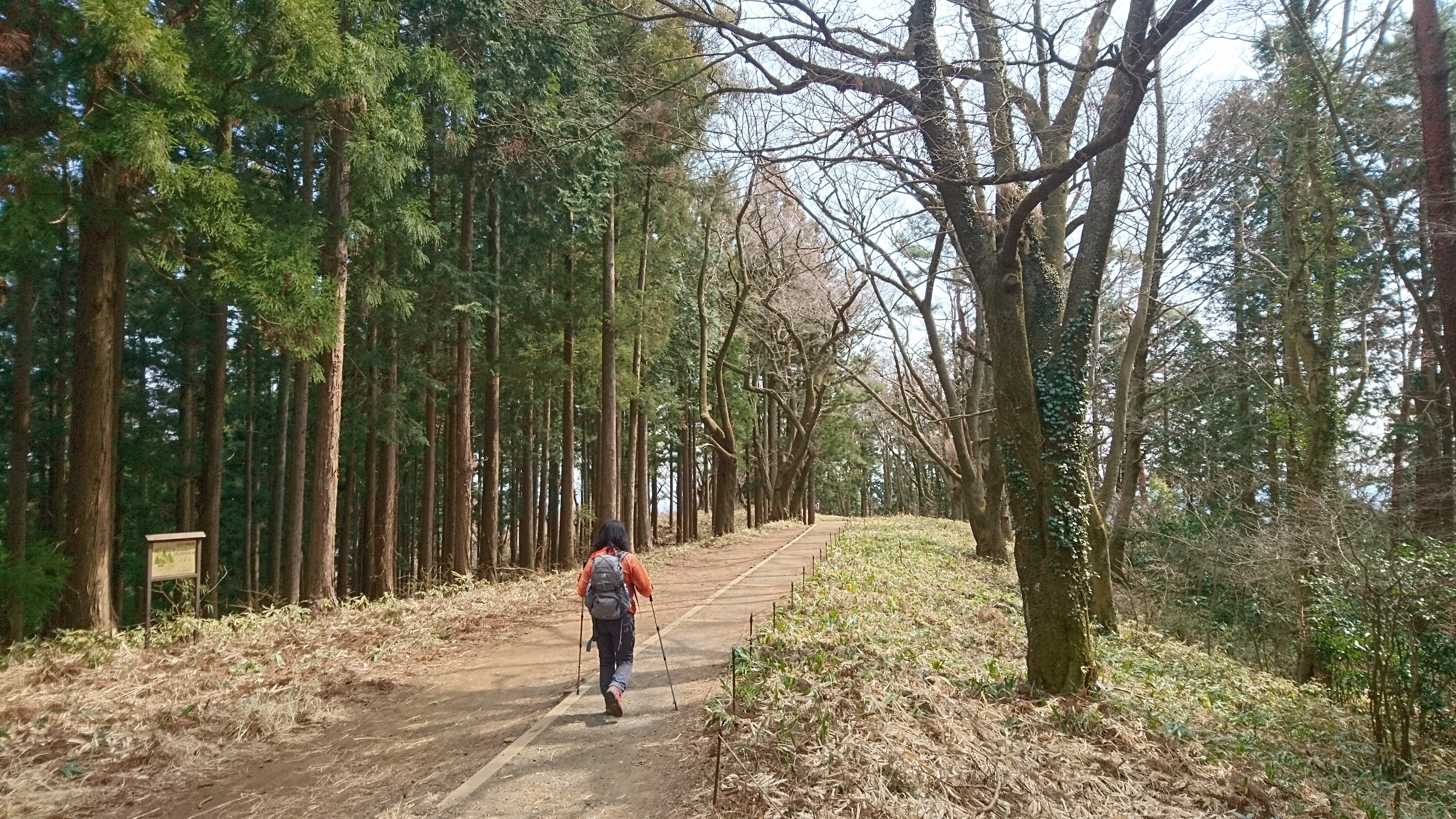 f:id:stevefigo:20190323162238j:image f:id:stevefigo:20190323162238j:image