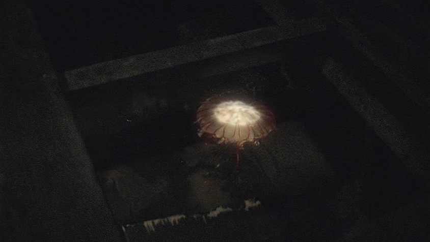 f:id:stevenspielberg:20190610094440j:plain f:id:stevenspielberg:20190610094440j:plain