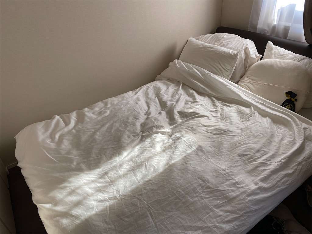 シモンズ 3畳の狭い部屋に高級ホテルのベッドルーム 寝室 を作ってみた カッシーナ シンプル都心ライフ
