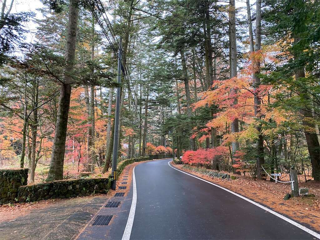 f:id:steveperry1373:20231114205453j:image f:id:steveperry1373:20231114205453j:image