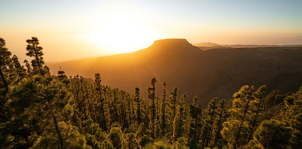 f:id:steyo2001:20210408233541j:plain